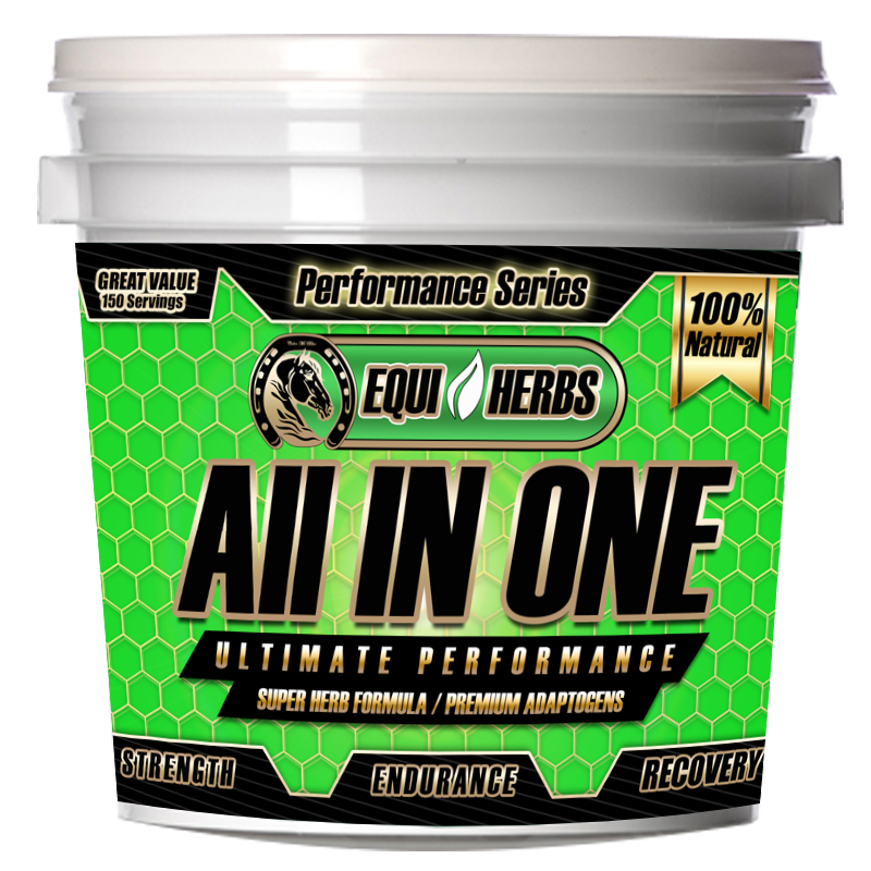 Ultimate horse supplements