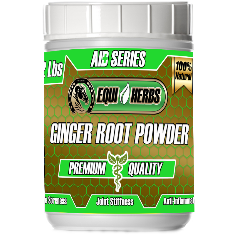ginger for horses great for Muscle Soreness