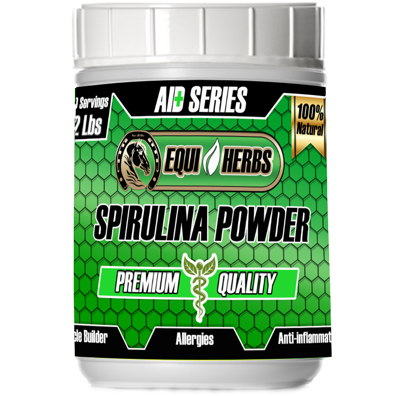 spirulina for horses can help with horse allergy