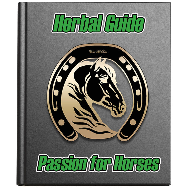 World's Natural Power for Horses