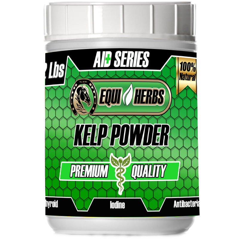 kelp for horses great for healthy horse hoof