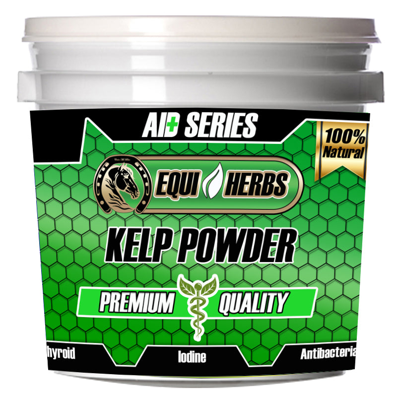 kelp for horses great for healthy horse hoof