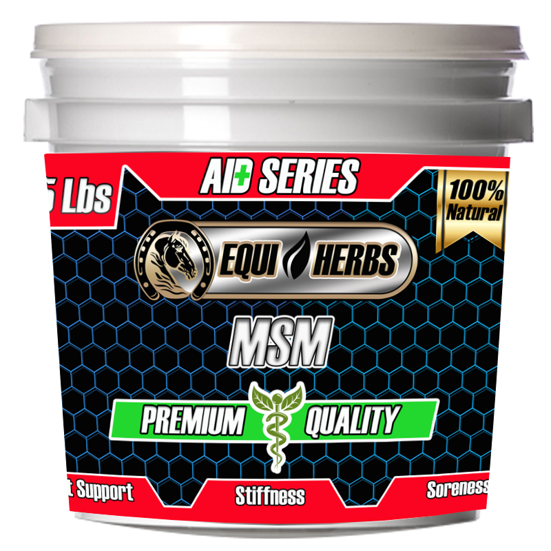 msm for horses horse supplements