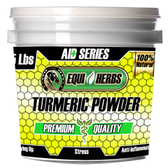 Turmeric Powder